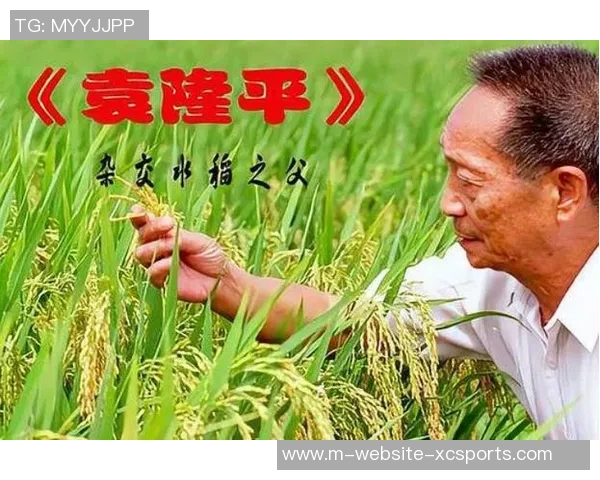 谢什科的传奇人生与艺术成就探秘：从平凡到卓越的奋斗历程