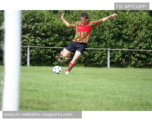 迈尼昂的崛起与挑战：重塑足球守门员的新标准与未来展望